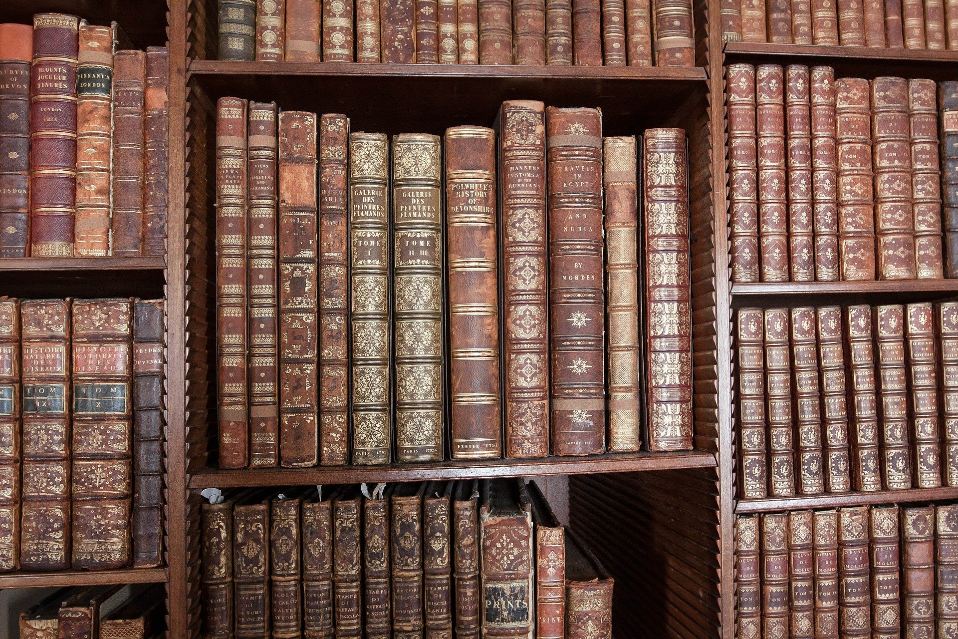 African Research Publishing Institute
